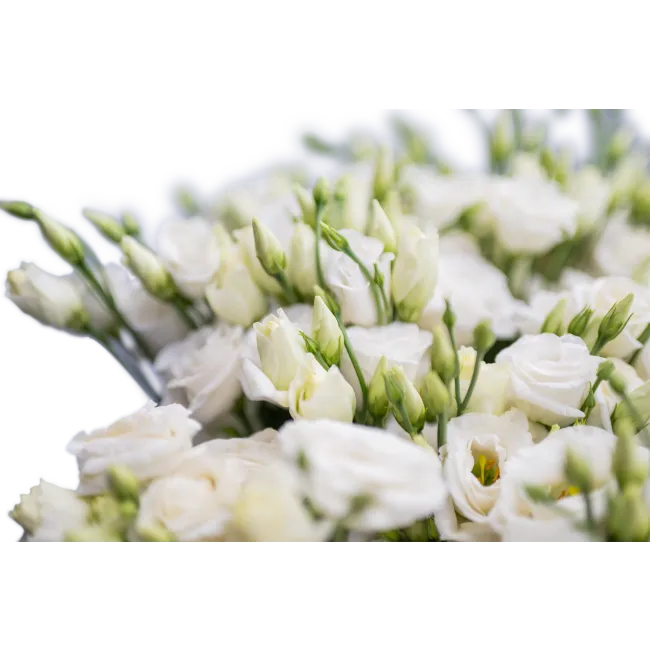 Lisianthus bouquet